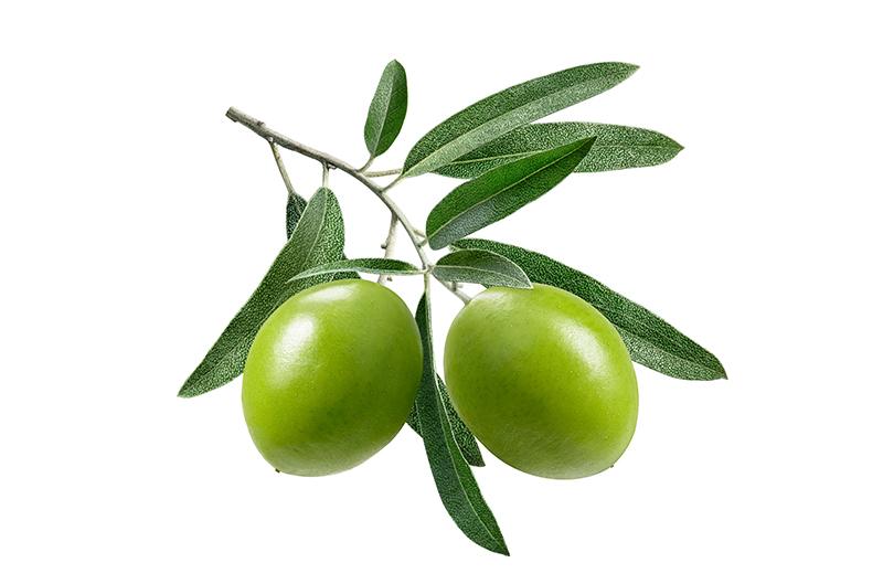 Olive
