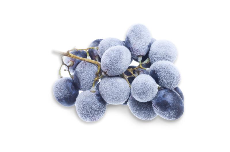 Eisweintraube