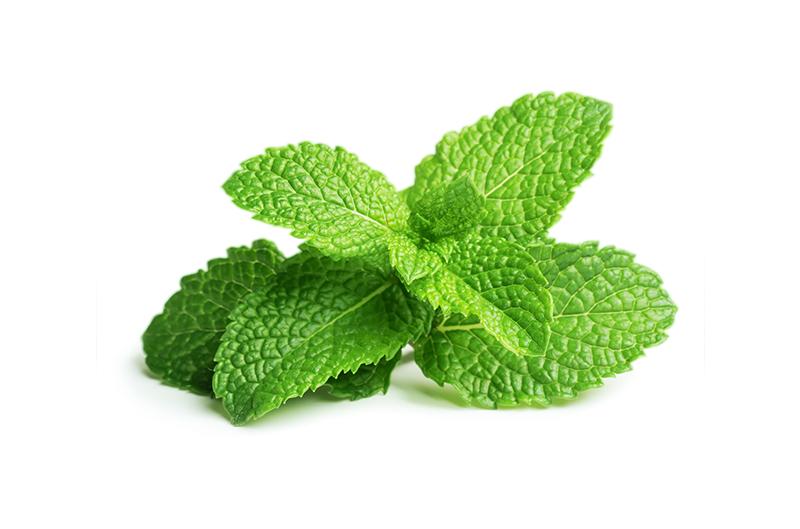 Menthol